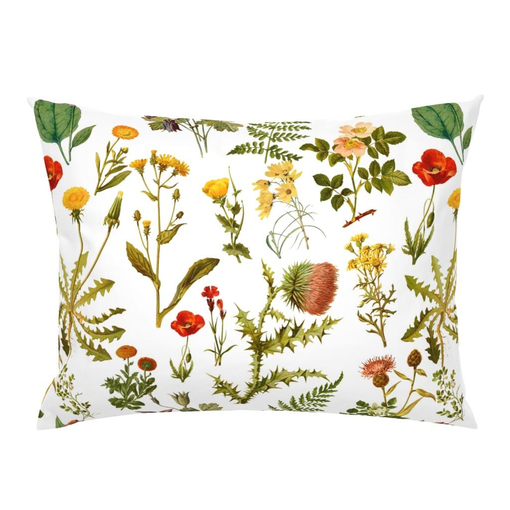 Standard Pillow Shams |   vintage_botanical_wildflowers lg. Standard Pillow Sham Bedding Standard Pillow Shams